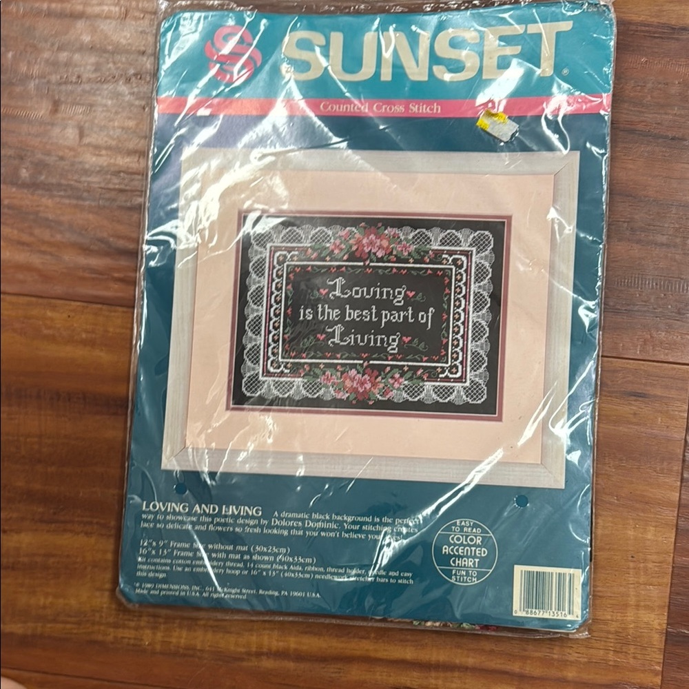 Loving and Living Cross Stitch Kit - Multicolor